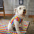 Camiseta Pride Dog is Love Arcoiris